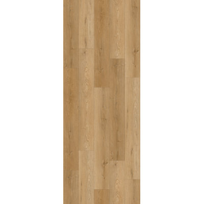 Lions Floor District Pro LVP Collection - Murrieta | 7.25" x 48" Waterproof Luxury Vinyl Plank Flooring | Glue-Down Installation, FloorScore Certified | 1 Box = 48.33 Sq. Ft. | Most Rooms Need 15+ Boxes