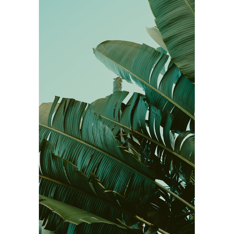 Palm Tree Under Blue Sky, Vintage Background, Travel Card, Vintage Effect - Wrapped Canvas Print, 46cm H x 30cm W