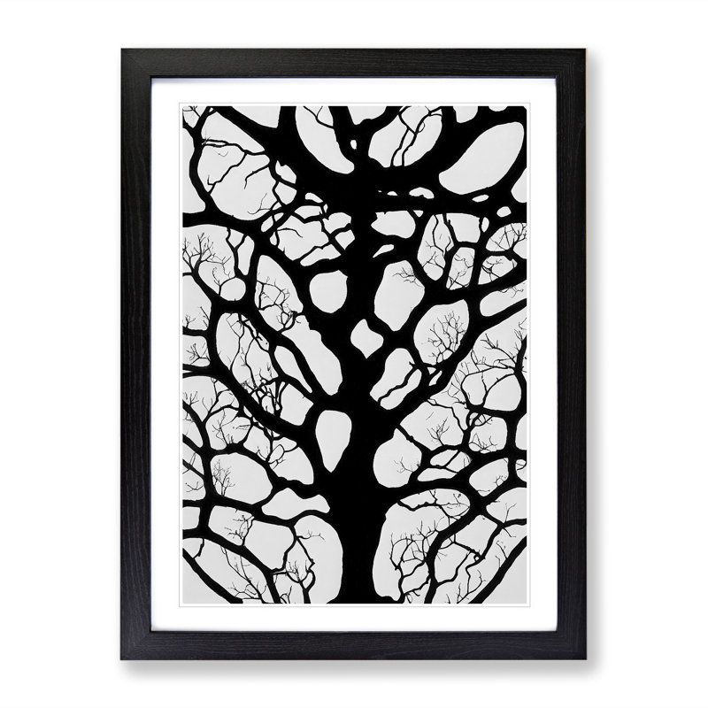 A Monochrome Tree No.4 - Single Picture Frame Print, 64cm H x 46cm W x 2cm D, Black Framed
