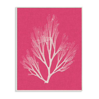 " Coral Seaweed Magenta White Beach "