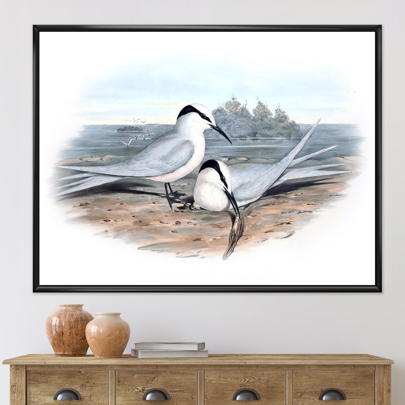 «Vintage Birds in the Wild», impression sur toile, H 16 po x l 32 po x p 1 po, Toile encadrée noire