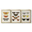 «Vintage Butterflies IV» - Toile tendue avec châssis sur mesure - 3 pièces-117230770-117230771