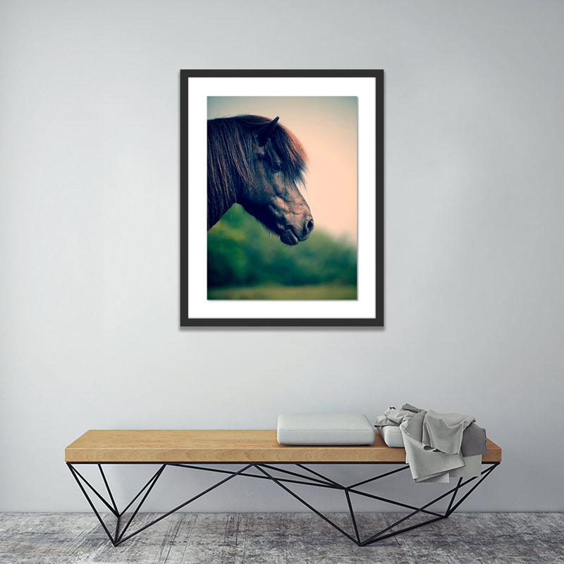 Horse Profile 5 Framed Photographic Print, 48" H x 36" W x 2.5" D, Black