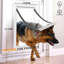 Dalle de porte extérieure en bois massif blanc avec verre transparent 9-Lite et porte pour chien intégrée, avec serrure à clavier à poignée longue noire avec remplacement de clé-122570766