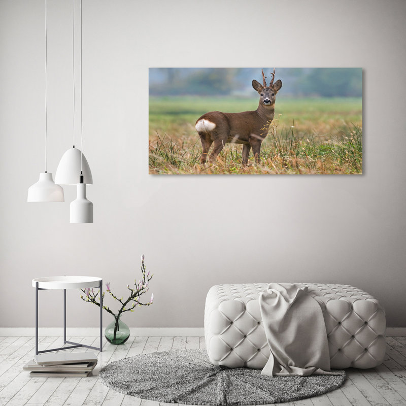 Roe - Wrapped Canvas Print