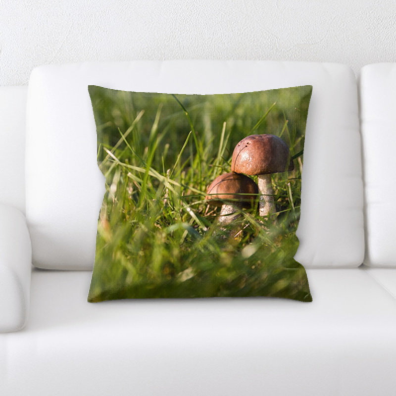 Coussin en champignons