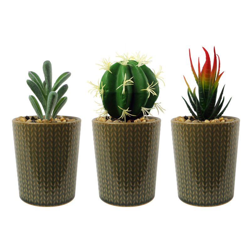 Annistin 18cm Plant, Green