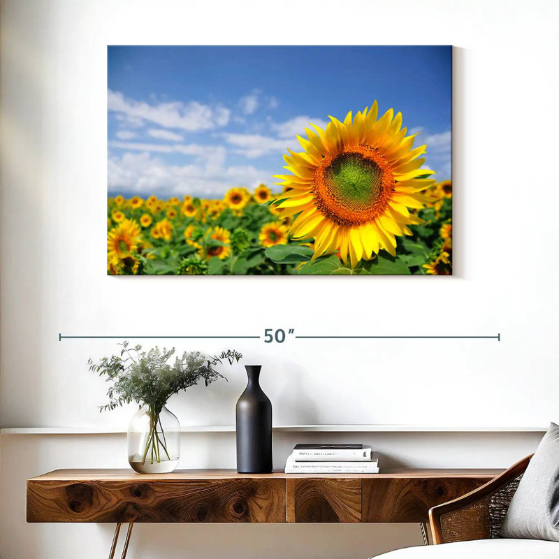 Champ de tournesols Harnek Akeno, H 26 po x l 39 po