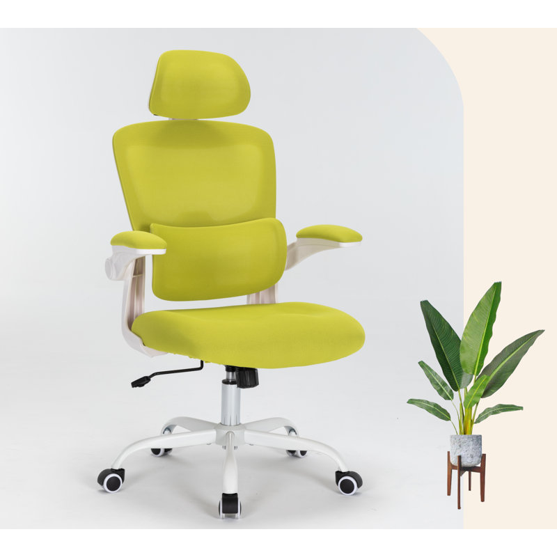 Chaise de bureau Devli, Vert, White