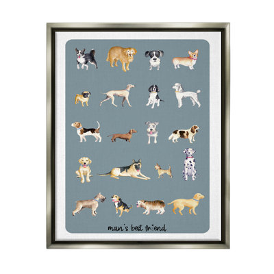 " Man's Best Friend Dog Breeds "