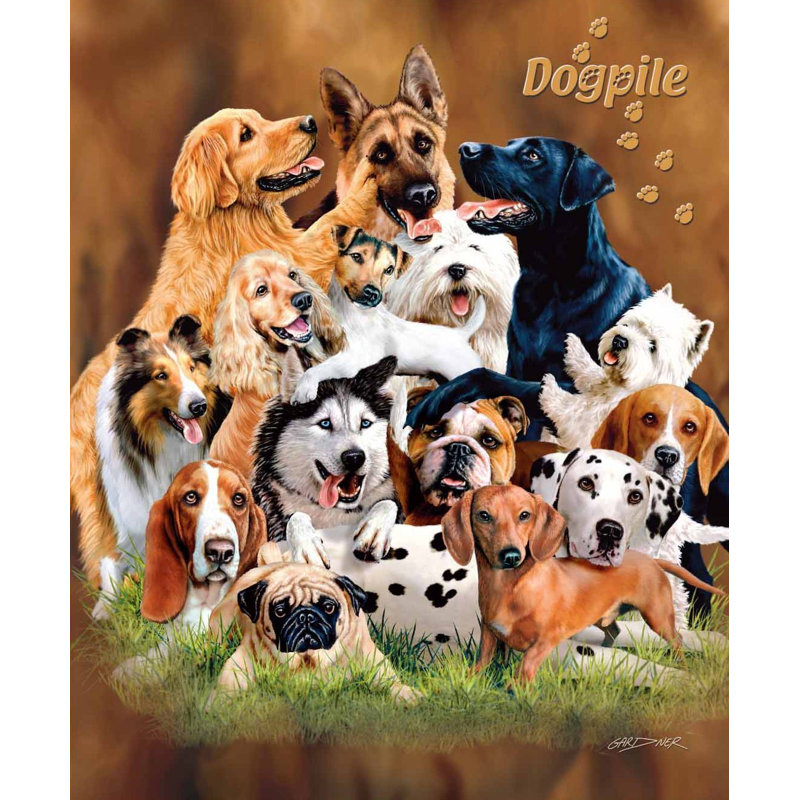 Couverture Dogpile