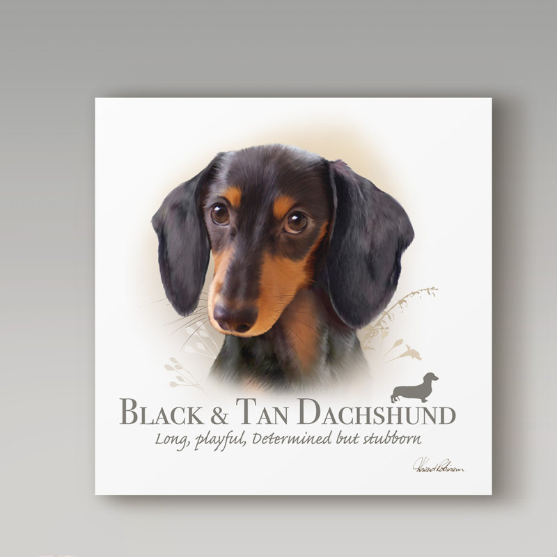 Howard Robinson Black and Tan Dachshund Canvas Art