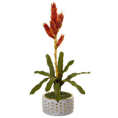 Tropical Bromeliad Silk Plant in Bowl with Gold Trimming