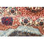 Aryana Wool Oriental Area Rug