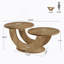 Table d'appoint centrale, table basse, table basse à 2 niveaux