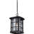 Stonington Outdoor Hanging Lantern