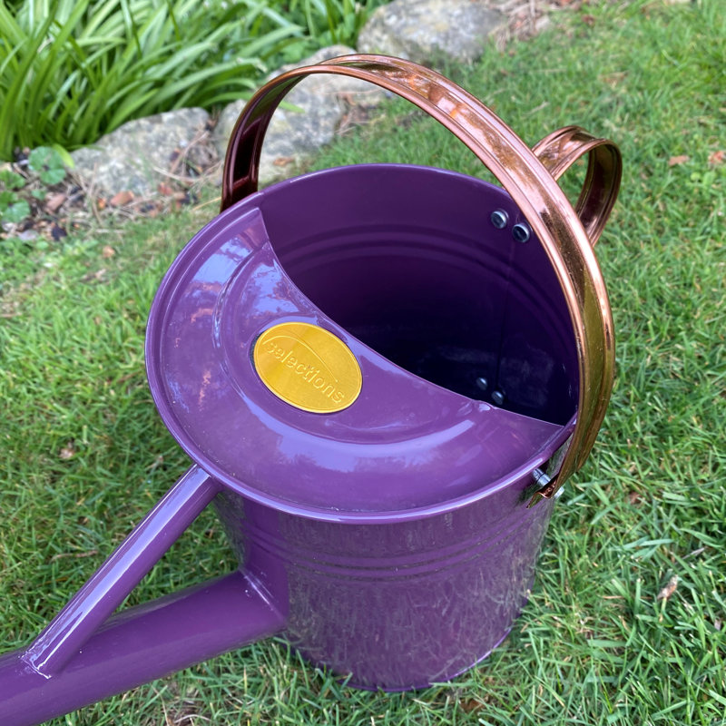Metal Watering Can, Purple
