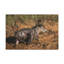 No Frame Print on Canvas-747336863