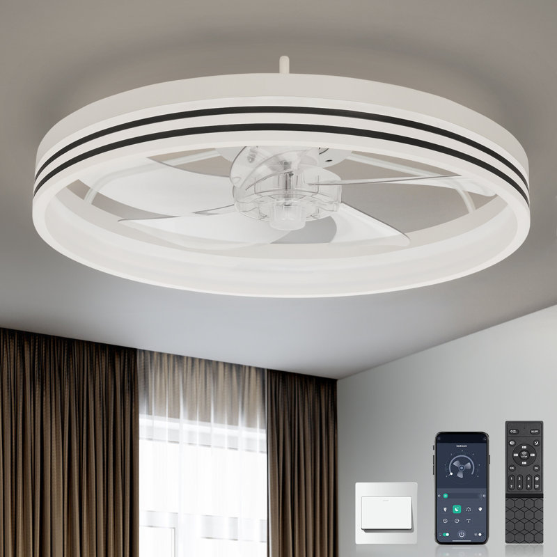Andia Caged Ceiling Fan with LED Lights, Low Profile Ceiling Fan for Living Room, White, White, Clear