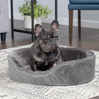 Plush & Velvet Oval Dog Bed