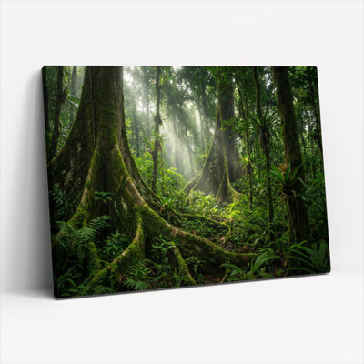 «Mystic Rainforest Canopy», ensemble de 1 reproduction d'art sur toile tendue
