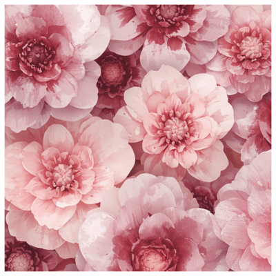 Couvertures de pivoines roses