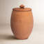 Terracotta Jar-696237092