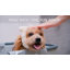 Portable Dog Bath Tub with Two Side Pockets and Built-in Drain System -  Includes Three-Point Leash Restraint (Grey + Black)-116106496