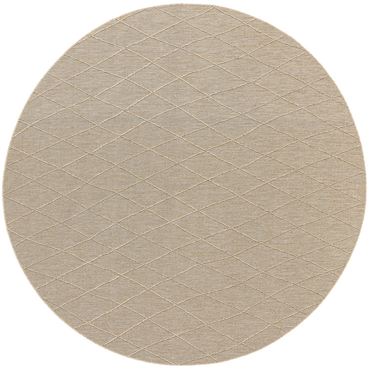 Machine Washable Indoor/Outdoor Area Rug