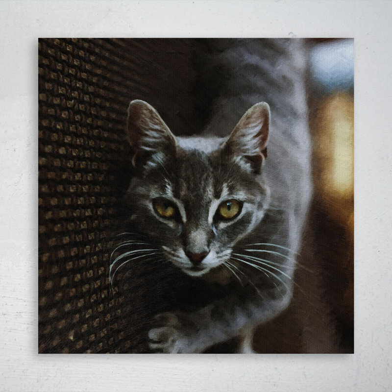 Chat tigré gris allongé sur un tissu gris - reproduction d'art graphique carré sur toile tendue, H 12 po x l 12 po
