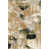 Beige sélectionné