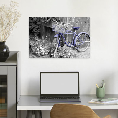 colour Pop Old bicycle with flower basket next to old outhouse garden shed Marion County Illinois USA Veri Peri 1 Piece Wrapped Canvas Wall Art