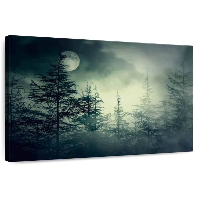 Forêt sombre et sombre, H 16 po x l 24 po