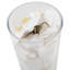 Orchid Faux Floral Arrangement in Vase-1974369955