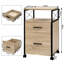 Nisaiah 40cm Wide 2 -Drawer Mobile File Cabinet-338055382