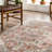 Roeder Oriental Salmon/Orange Area Rug-1684143168
