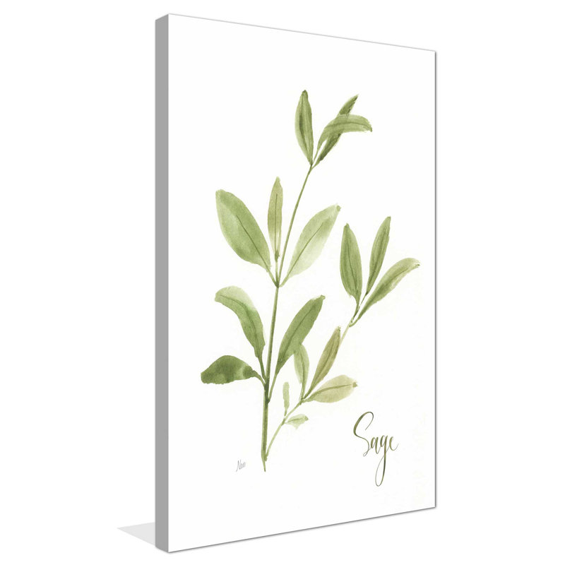 «Herb Sage» par Nan - Peinture, L 18 po x H 30 po, Toile tendue
