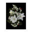 Impression sur toile tendue Dosta-29226265