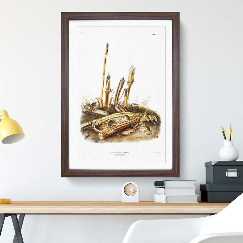 Harvest Mice by J.W. Audubon - Picture Frame Painting Print, 65cm H x 48cm W x 2cm D, Walnut Framed