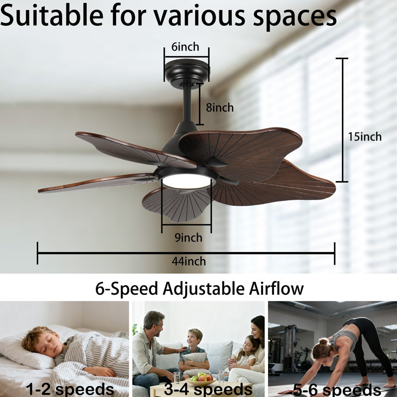 Ventilateur de plafond avec lumière, 5 pales en bois massif, moteur à courant continu, application et télécommande, DEL à spectre complet à intensité variable, flux d'air réversible, fonctionne sur les plafonds inclinés
