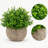 4.7" Mini Artificial Green Plant with Paper Pulp Pot
