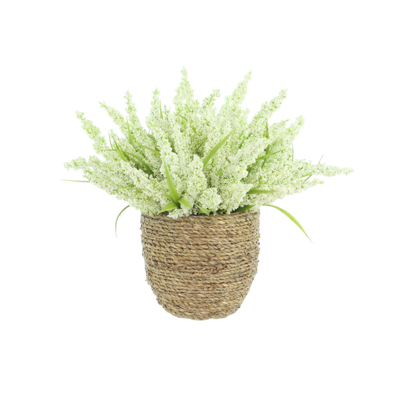 Heather dans un pot de paille, Blanc