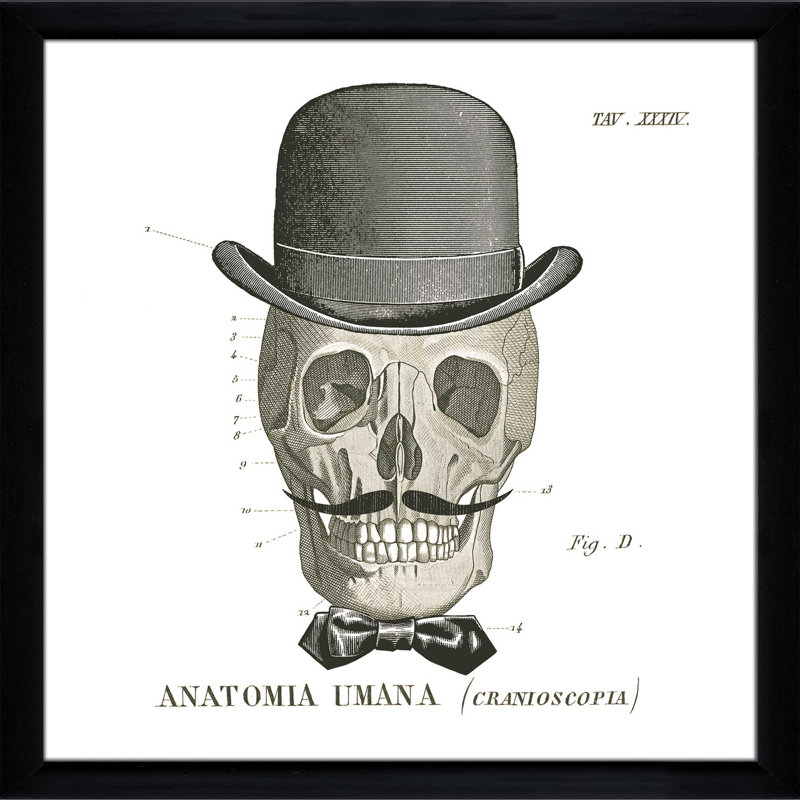" Dandy Bones IV ", 21.5" H x 21.5" W x 0.75" D, Black Framed