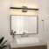 Cassanova 27" Dimmable LED Bath Bar