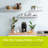 2 Piece Wall Shelf Set-1735290340-1735290337