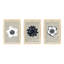 Flowers Set Of 3 Print by Michela Sorrentino-1727089953-1727089954