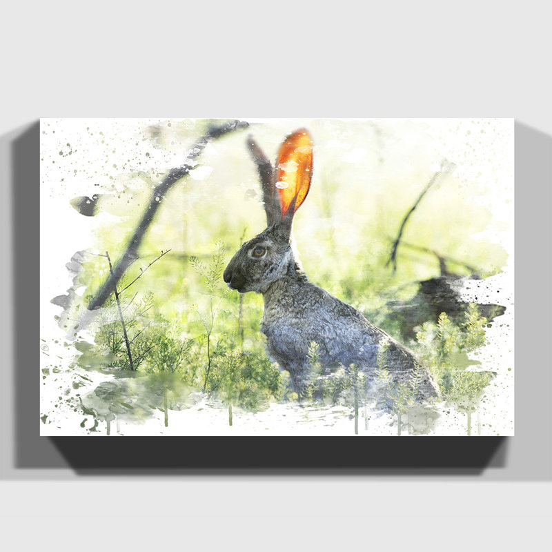 Hare - Wall Art, 40cm H x 60cm W, Wrapped Canvas