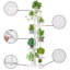 Devona Plant Stand - Set of 9
