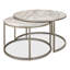 2 - Piece Nesting Coffee Table Set