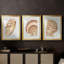 «Vintage Shell Vignette I», impression encadrée sur mesure de qualité supérieure mate - 3 pièces-2126711603-2126711606
